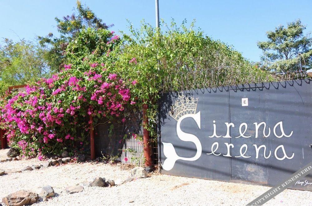 Sirena Serena B&B And Retreat Tamarindo Exterior foto