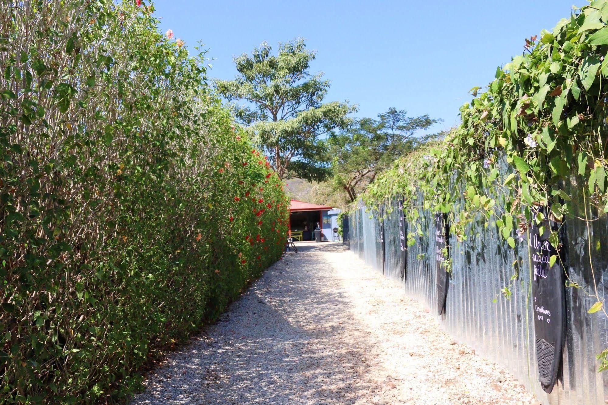 Sirena Serena B&B And Retreat Tamarindo Exterior foto